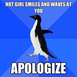Socially Awkward Penguin
