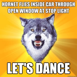 Courage Wolf