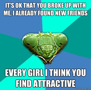 Crazy Girlfriend Praying Mantis