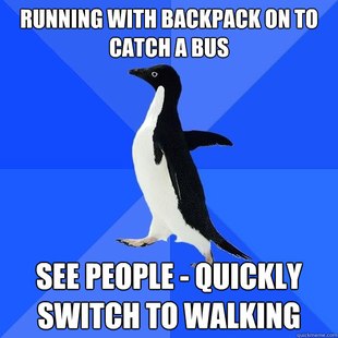 Socially Awkward Penguin