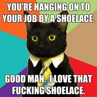 Business Cat