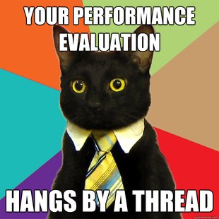 Business Cat