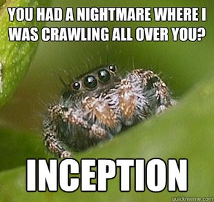 Misunderstood Spider