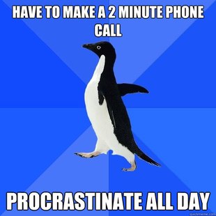 Socially Awkward Penguin