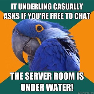 Paranoid Parrot