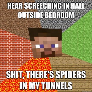 Minecraft