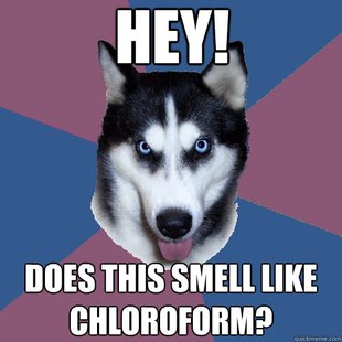 Creeper Canine