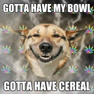 Stoner Dog