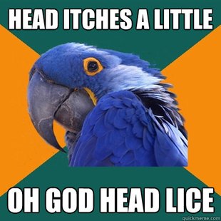 Paranoid Parrot
