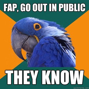15pr.jpg