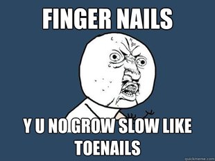 Y U No