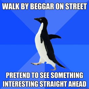 Socially Awkward Penguin