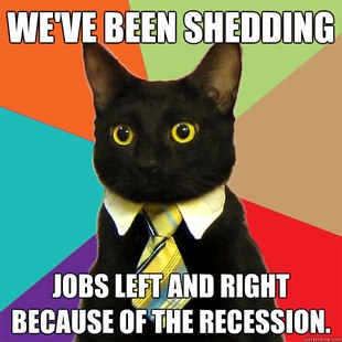 Business Cat