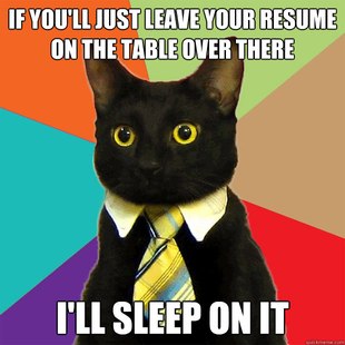 Business Cat