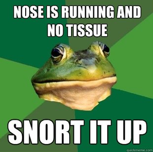 Foul Bachelor Frog