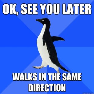 Socially Awkward Penguin