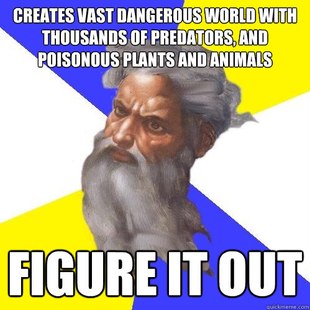 Advice God