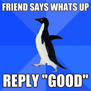 Socially Awkward Penguin