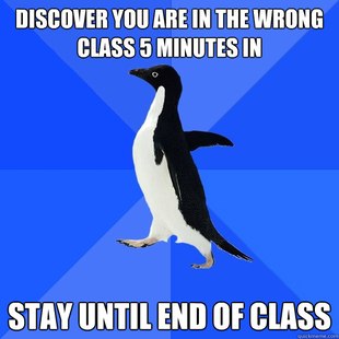 Socially Awkward Penguin