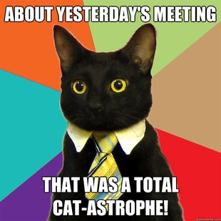 Business Cat