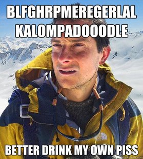 Bear Grylls
