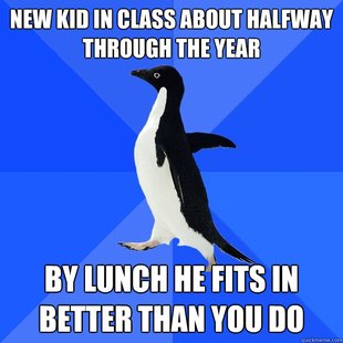 Socially Awkward Penguin