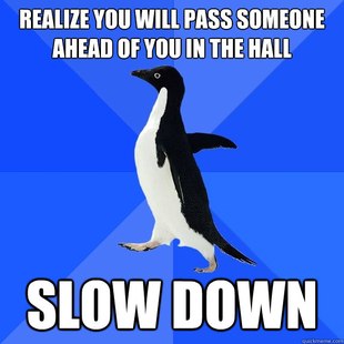Socially Awkward Penguin
