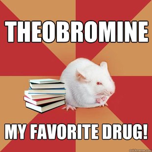 Science Major Mouse