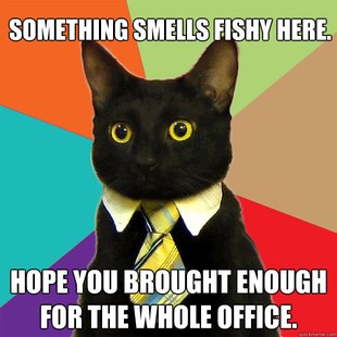 Business Cat