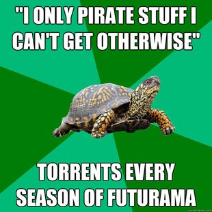 Torrenting Turtle