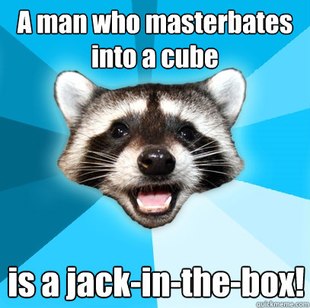 Lame Pun Coon