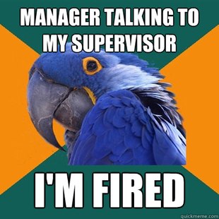 Paranoid Parrot