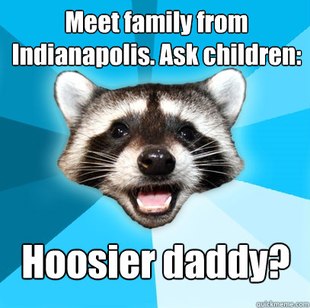 Lame Pun Coon