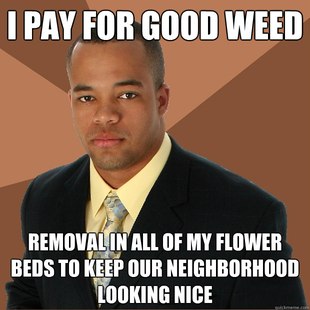 Successful Black Man
