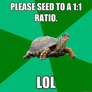 Torrenting Turtle