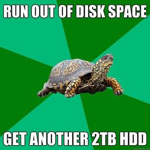 Torrenting Turtle