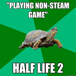 Torrenting Turtle