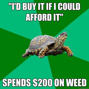 Torrenting Turtle