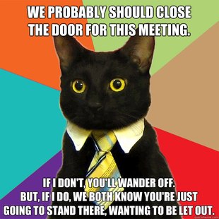 Business Cat