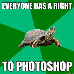 Torrenting Turtle