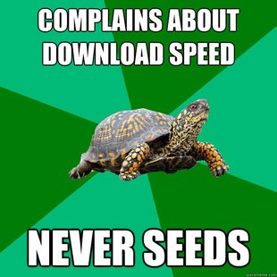 Torrenting Turtle