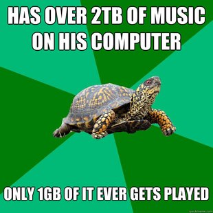 Torrenting Turtle