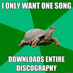 Torrenting Turtle