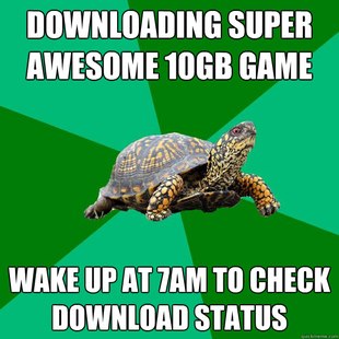 Torrenting Turtle