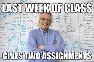 Engineering Professor