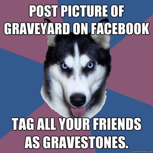 Creeper Canine