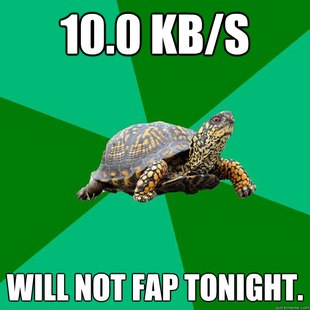 Torrenting Turtle