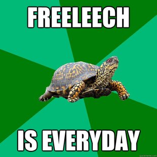 Torrenting Turtle