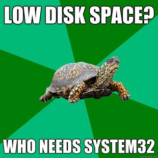 Torrenting Turtle
