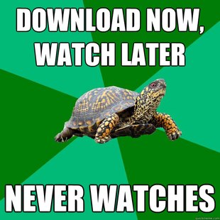 Torrenting Turtle